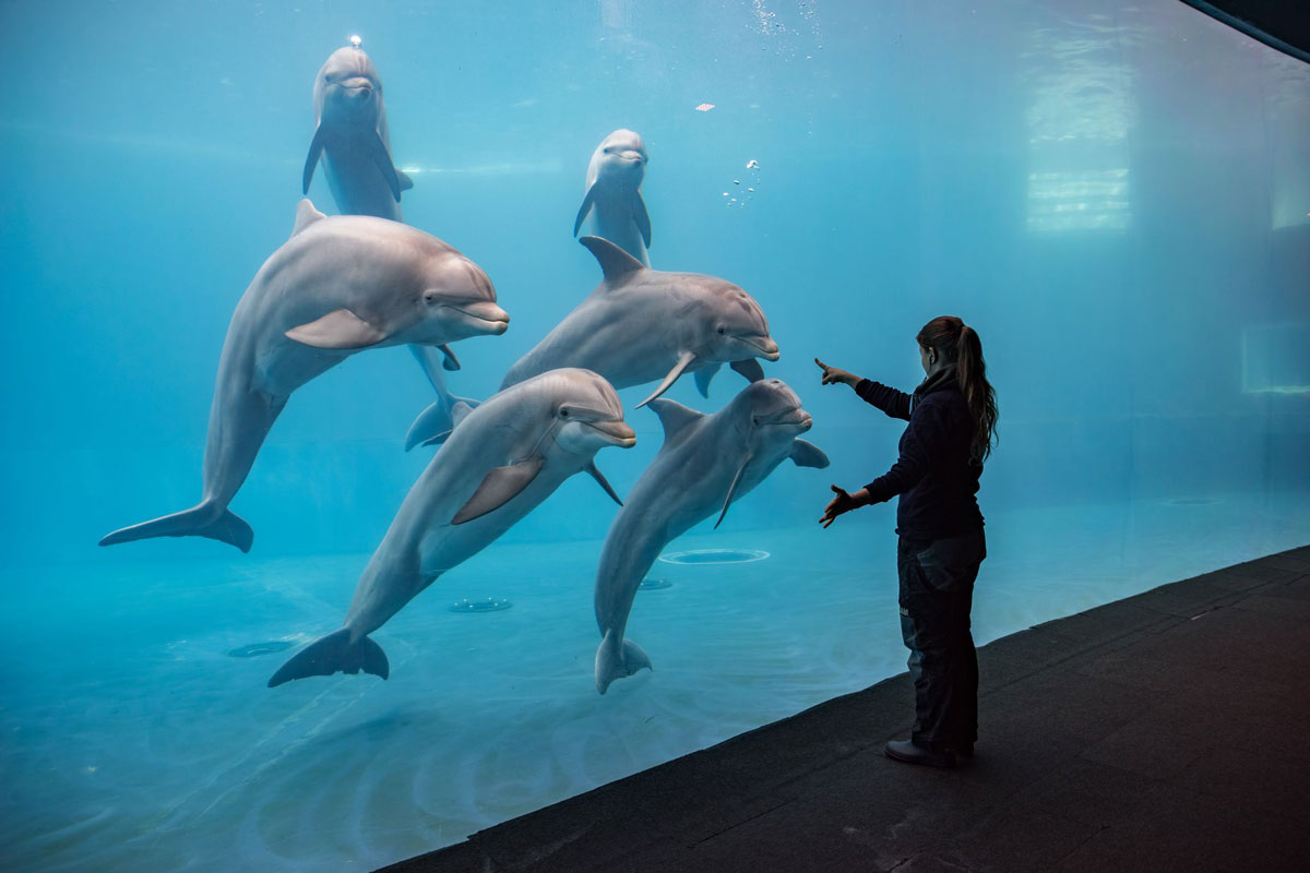 acuario de genova